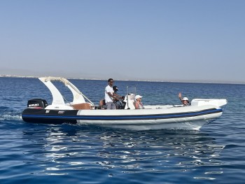 Private Delfin Tour mit dem Speedboot Sahl Hasheesh Makadi Bay