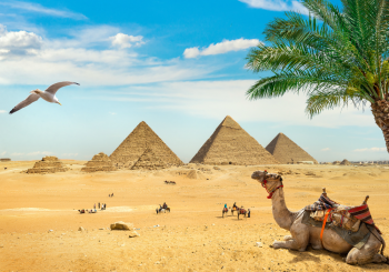 Ausflug zu den Pyramiden von Gizeh und Museum 